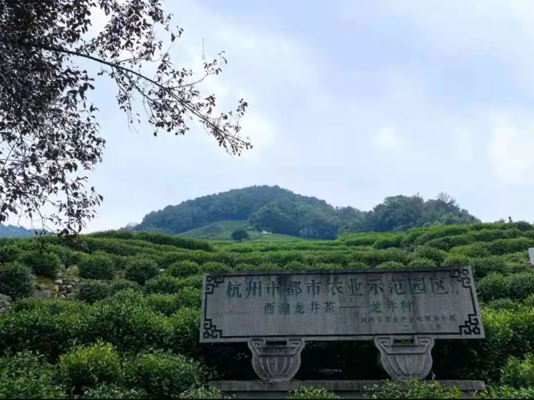 星空(中国)|西北碳化硅|绿碳化硅|黑碳化硅|碳化硅微粉|碳化硅颗粒|炼钢用碳化硅 星空(中国)|西北碳化硅|绿碳化硅|黑碳化硅|碳化硅微粉|碳化硅颗粒|炼钢用碳化硅
