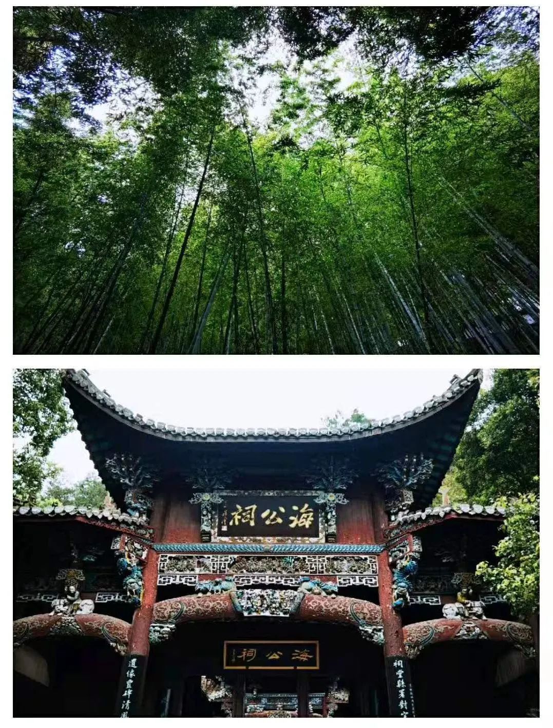 星空(中国)|西北碳化硅|绿碳化硅|黑碳化硅|碳化硅微粉|碳化硅颗粒|炼钢用碳化硅