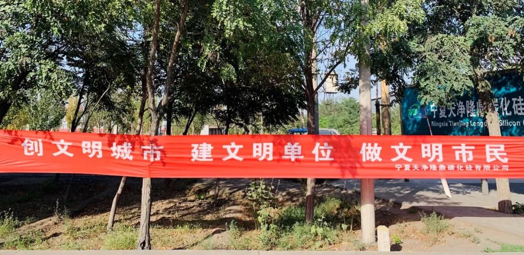 星空(中国)|西北碳化硅|绿碳化硅|黑碳化硅|碳化硅微粉|碳化硅颗粒|炼钢用碳化硅