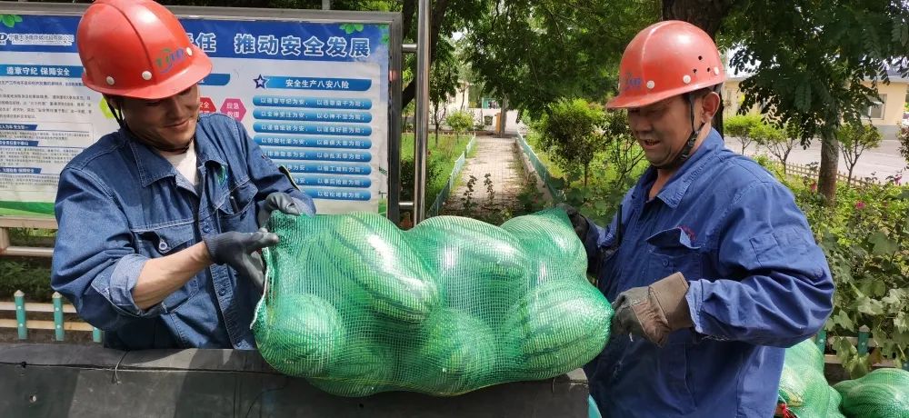 星空(中国)|西北碳化硅|绿碳化硅|黑碳化硅|碳化硅微粉|碳化硅颗粒|炼钢用碳化硅 星空(中国)|西北碳化硅|绿碳化硅|黑碳化硅|碳化硅微粉|碳化硅颗粒|炼钢用碳化硅