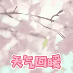 星空(中国)|西北碳化硅|绿碳化硅|黑碳化硅|碳化硅微粉|碳化硅颗粒|炼钢用碳化硅